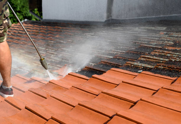 Best Affordable Pressure Washing  in Snyder, TX